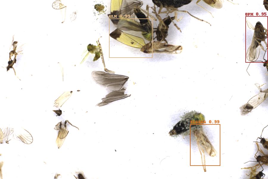 Image 103